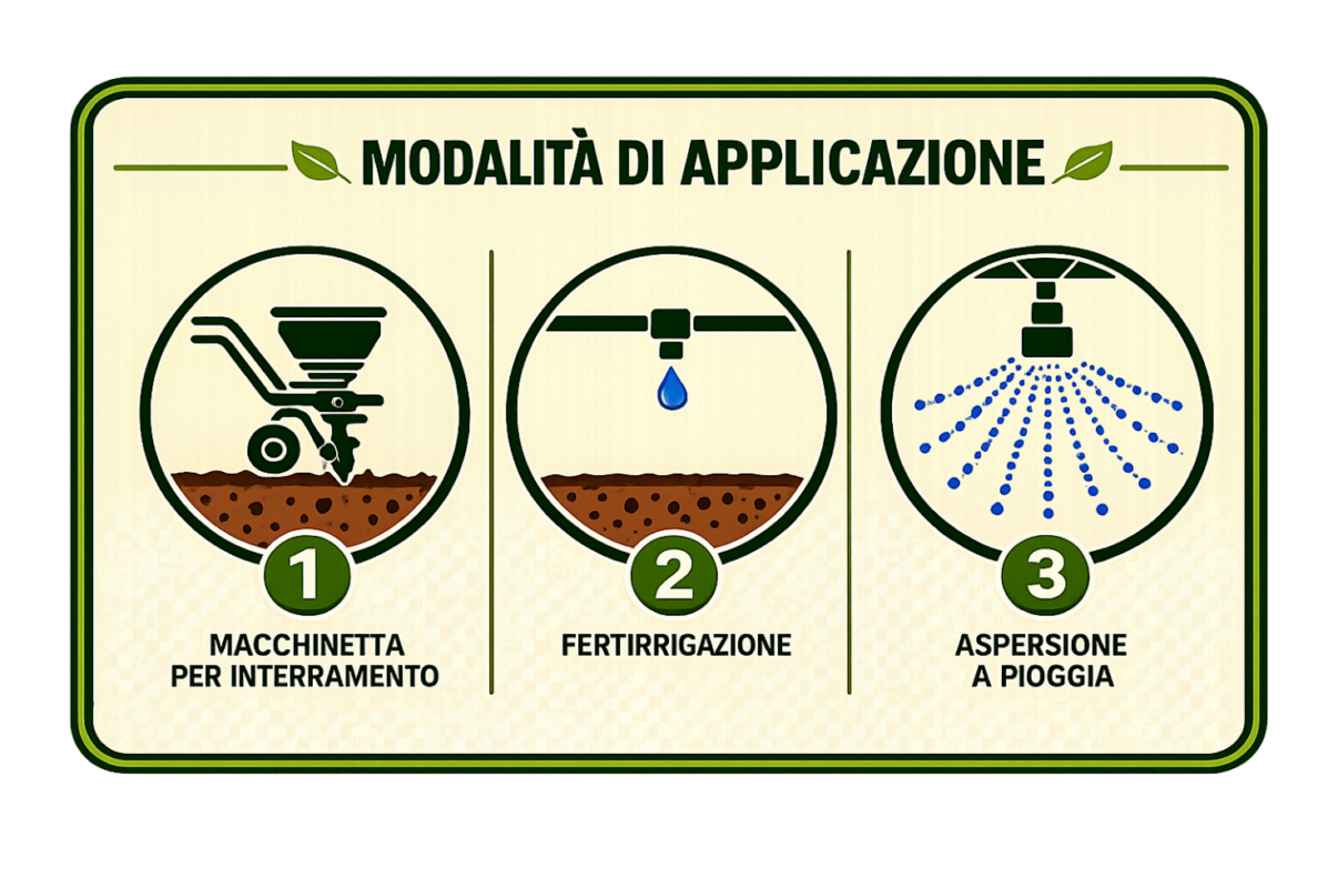 Schema delle modalità di applicazione Idealfert: interramento, fertirrigazione e aspersione a pioggia